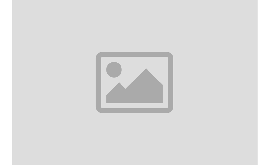 Vivamus eu enim massa nunc